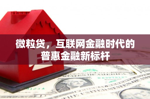 潭子微粒贷，互联网金融时代的普惠金融新标杆