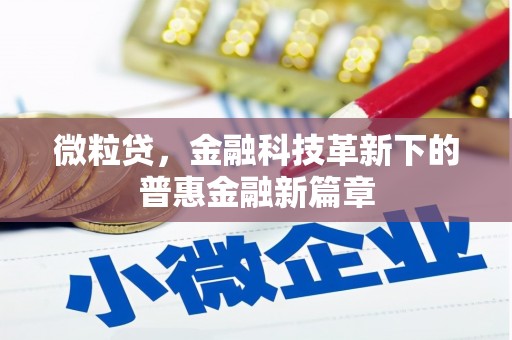 潭子微粒贷，金融科技革新下的普惠金融新篇章