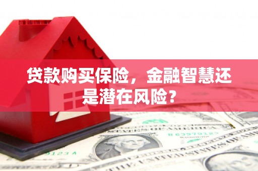 潭子贷款购买保险，金融智慧还是潜在风险？