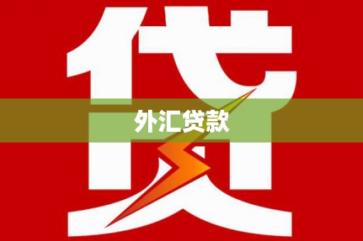 潭子外汇贷款