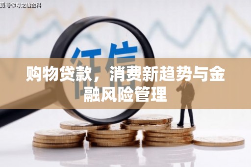 潭子购物贷款，消费新趋势与金融风险管理