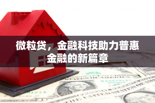 潭子微粒贷，金融科技助力普惠金融的新篇章