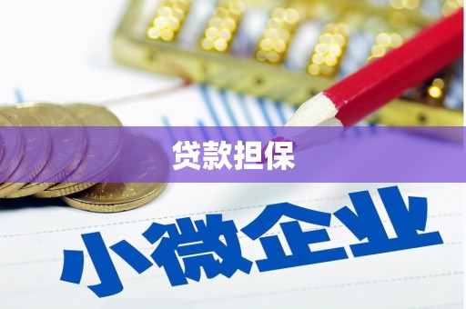 潭子贷款担保