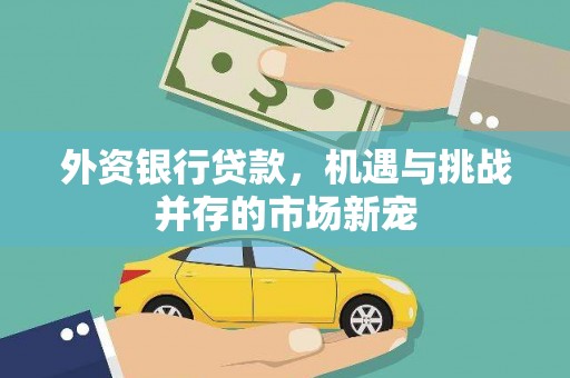 潭子外资银行贷款，机遇与挑战并存的市场新宠