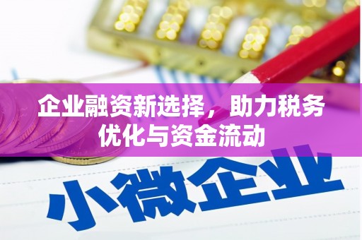 潭子企业融资新选择，助力税务优化与资金流动