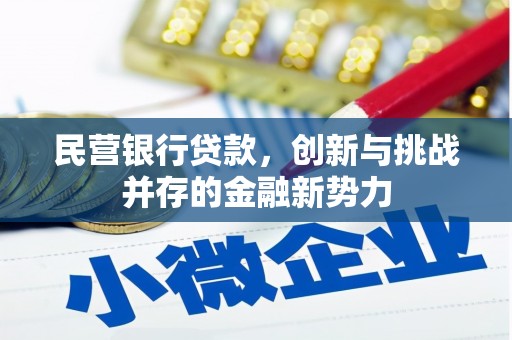 潭子民营银行贷款，创新与挑战并存的金融新势力
