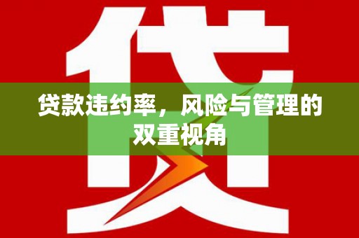 潭子贷款违约率，风险与管理的双重视角