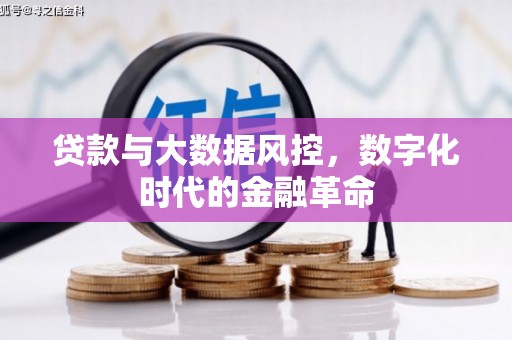 潭子贷款与大数据风控，数字化时代的金融革命