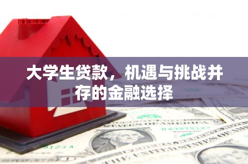 潭子大学生贷款，机遇与挑战并存的金融选择