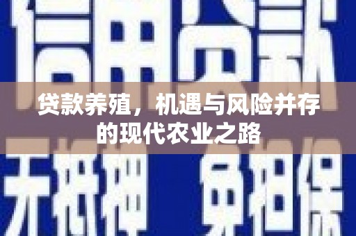 潭子贷款养殖，机遇与风险并存的现代农业之路
