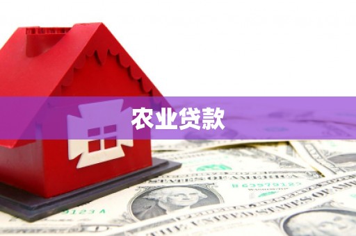 潭子农业贷款