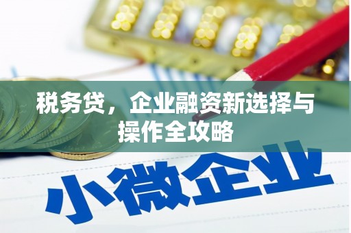潭子税务贷，企业融资新选择与操作全攻略