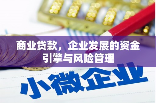 潭子商业贷款，企业发展的资金引擎与风险管理