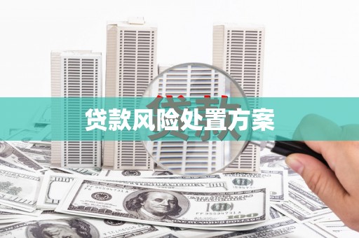 潭子贷款风险处置方案