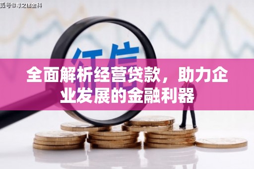 潭子全面解析经营贷款，助力企业发展的金融利器