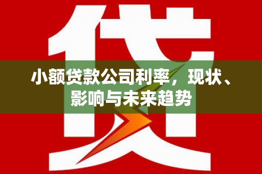潭子小额贷款公司利率，现状、影响与未来趋势
