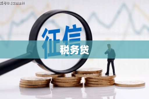 潭子税务贷