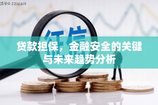 潭子贷款担保，金融安全的关键与未来趋势分析