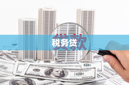 潭子税务贷