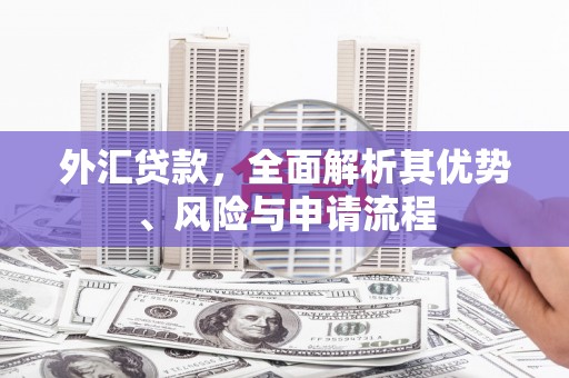 潭子外汇贷款，全面解析其优势、风险与申请流程