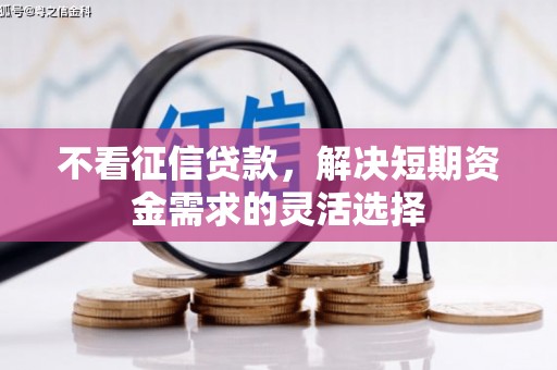 潭子不看征信贷款，解决短期资金需求的灵活选择