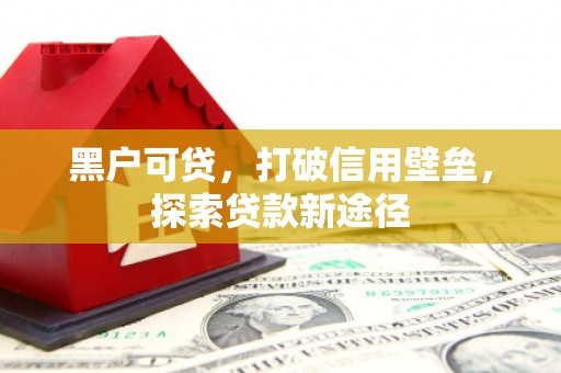 潭子黑户可贷，打破信用壁垒，探索贷款新途径