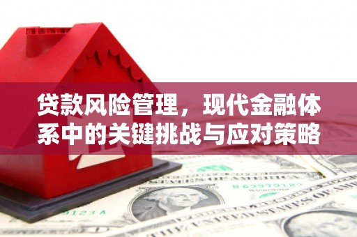 潭子贷款风险管理，现代金融体系中的关键挑战与应对策略