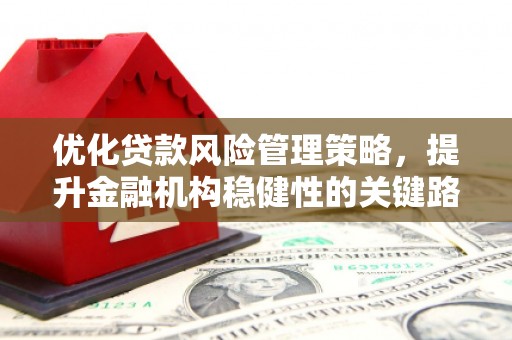 潭子优化贷款风险管理策略，提升金融机构稳健性的关键路径