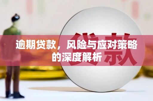 潭子逾期贷款，风险与应对策略的深度解析