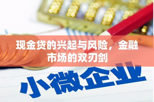 潭子现金贷的兴起与风险，金融市场的双刃剑