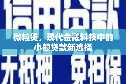潭子微粒贷，现代金融科技中的小额贷款新选择