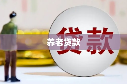 潭子养老贷款