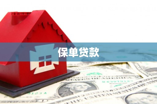 潭子保单贷款