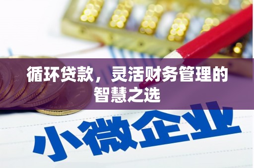 潭子循环贷款，灵活财务管理的智慧之选