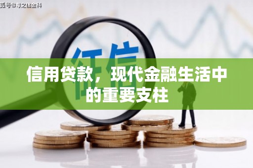 潭子信用贷款，现代金融生活中的重要支柱