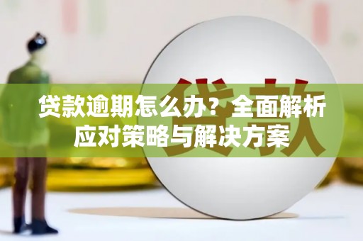 潭子贷款逾期怎么办？全面解析应对策略与解决方案