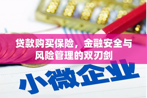 潭子贷款购买保险，金融安全与风险管理的双刃剑