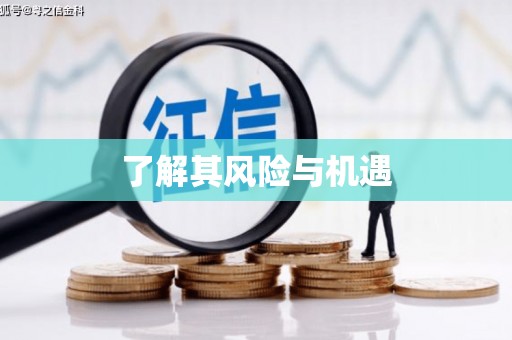 潭子了解其风险与机遇