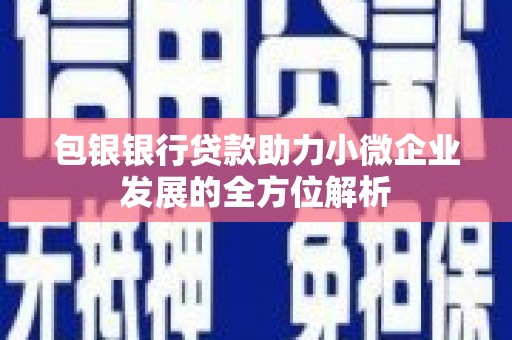 潭子包银银行贷款助力小微企业发展的全方位解析