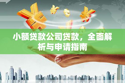 潭子小额贷款公司贷款，全面解析与申请指南