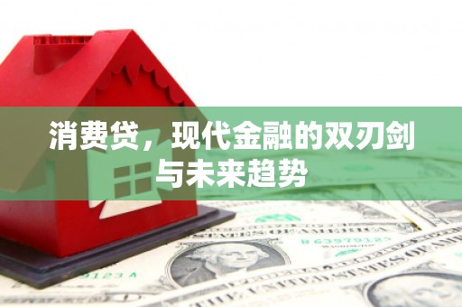 潭子消费贷，现代金融的双刃剑与未来趋势