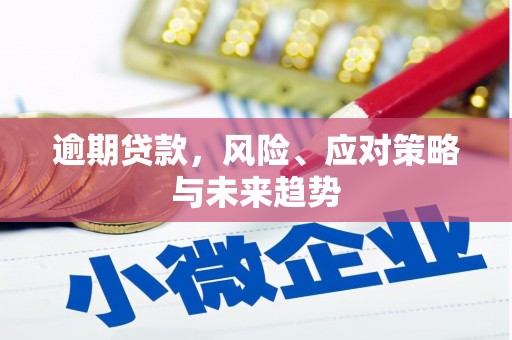 潭子逾期贷款，风险、应对策略与未来趋势