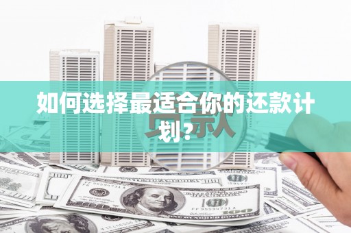 潭子如何选择最适合你的还款计划？