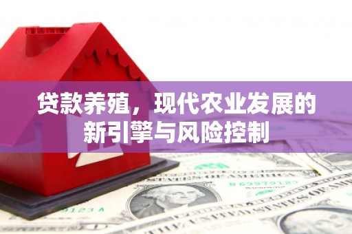 潭子贷款养殖，现代农业发展的新引擎与风险控制