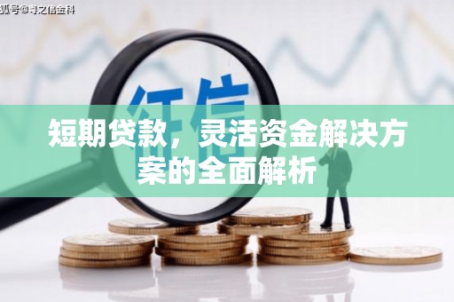 潭子短期贷款，灵活资金解决方案的全面解析