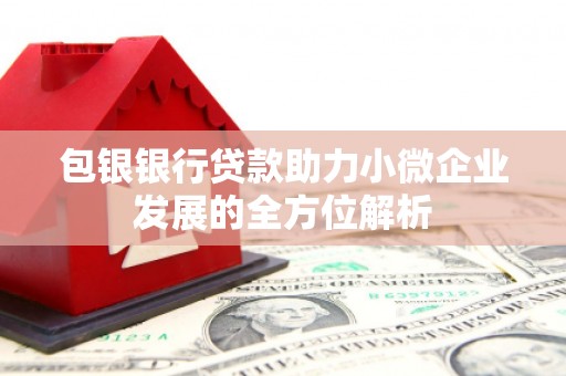 潭子包银银行贷款助力小微企业发展的全方位解析