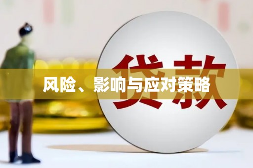 潭子风险、影响与应对策略