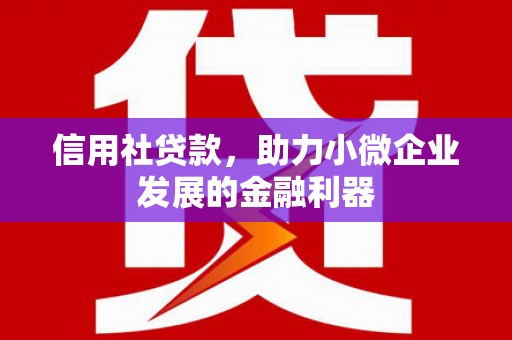 潭子信用社贷款，助力小微企业发展的金融利器