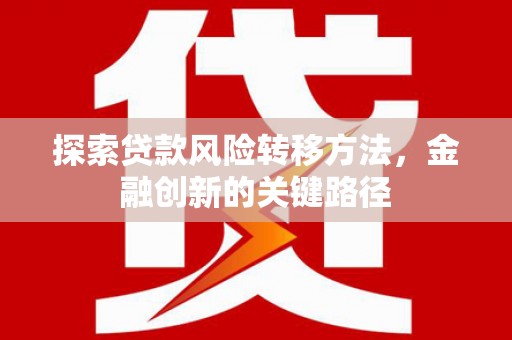 潭子探索贷款风险转移方法，金融创新的关键路径