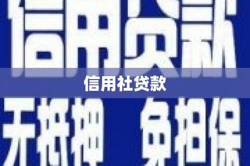 潭子信用社贷款